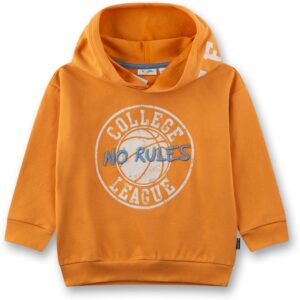 Sanetta Sweatshirt mit Kapuze
